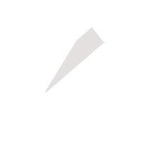 唐山临时保镖服务